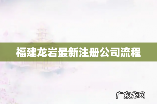 福建龙岩最新注册公司流程