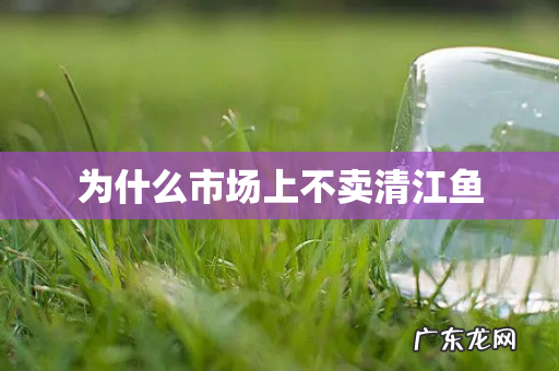 为什么市场上不卖清江鱼