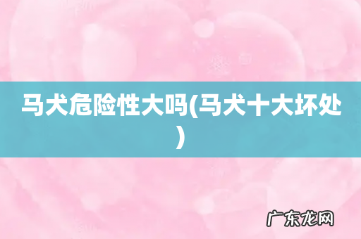 马犬十大坏处 马犬危险性大吗