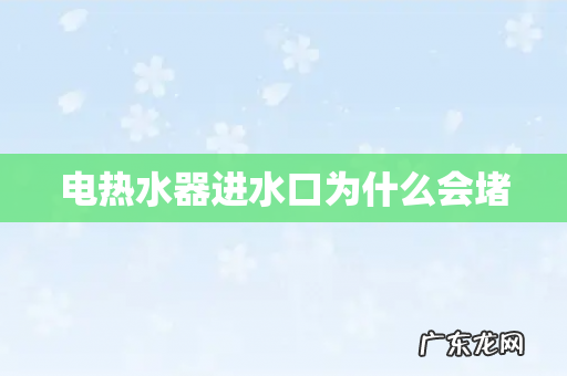 电热水器进水口为什么会堵