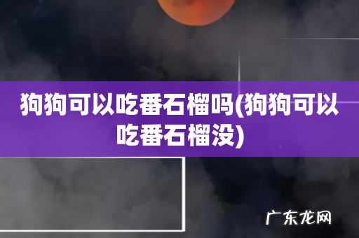狗狗可以吃番石榴没 狗狗可以吃番石榴吗