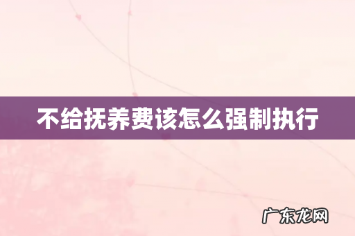 不给抚养费该怎么强制执行