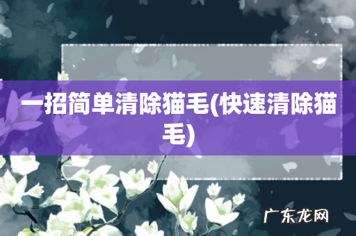 快速清除猫毛 一招简单清除猫毛