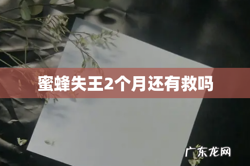 蜜蜂失王2个月还有救吗