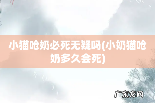 小奶猫呛奶多久会死 小猫呛奶必死无疑吗