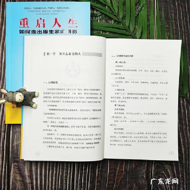 重启人生的动漫 重启人生攻略