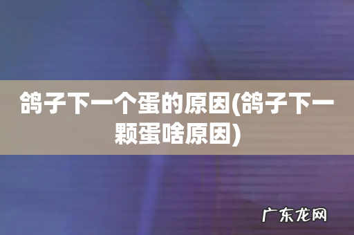 鸽子下一颗蛋啥原因 鸽子下一个蛋的原因