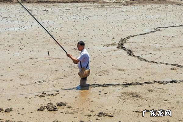 唱唱跳跳小鱼快跑 小鱼跳跳跳