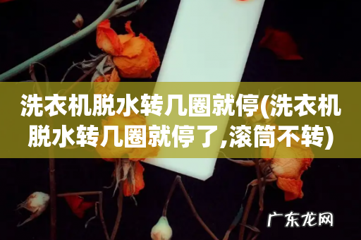 洗衣机脱水转几圈就停了,滚筒不转 洗衣机脱水转几圈就停