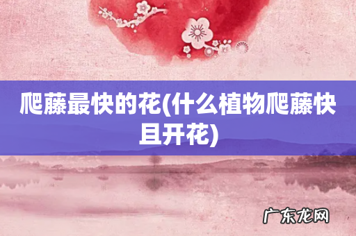 什么植物爬藤快且开花 爬藤最快的花