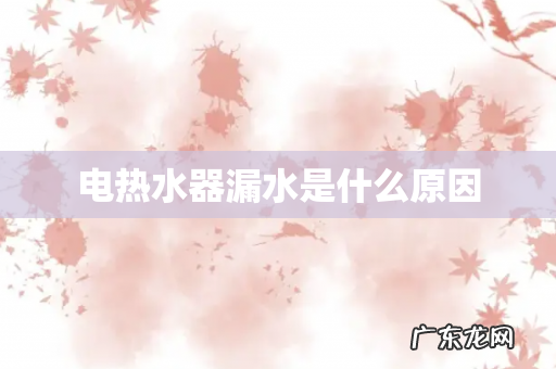 电热水器漏水是什么原因
