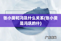 张小斐是冯巩的什 张小斐和冯巩什么关系