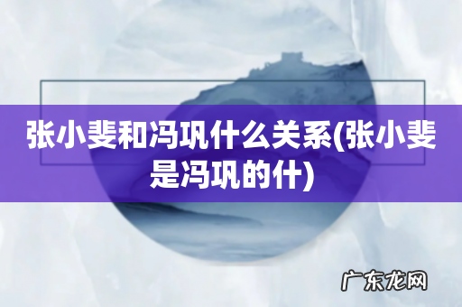 张小斐是冯巩的什 张小斐和冯巩什么关系