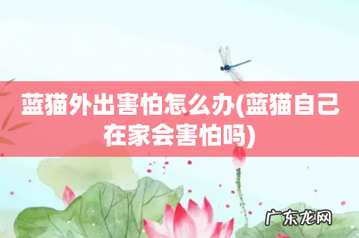 蓝猫自己在家会害怕吗 蓝猫外出害怕怎么办