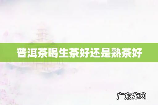 普洱茶喝生茶好还是熟茶好