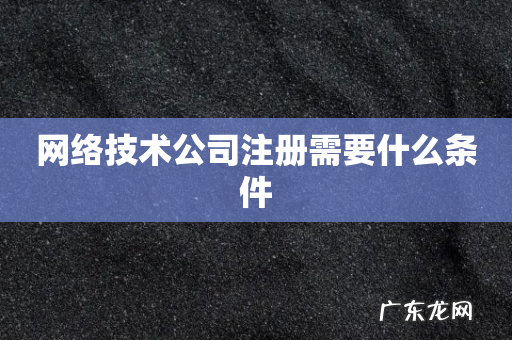 网络技术公司注册需要什么条件