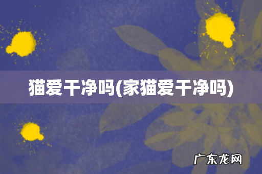 家猫爱干净吗 猫爱干净吗