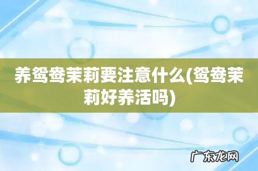 鸳鸯茉莉好养活吗 养鸳鸯茉莉要注意什么
