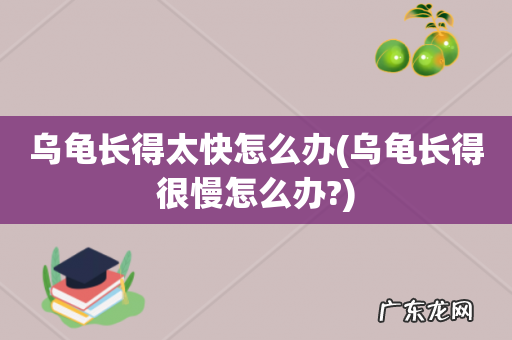 乌龟长得很慢怎么办? 乌龟长得太快怎么办