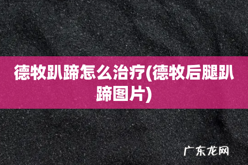 德牧后腿趴蹄图片 德牧趴蹄怎么治疗