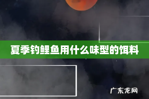 夏季钓鲤鱼用什么味型的饵料