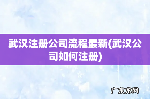 武汉公司如何注册 武汉注册公司流程最新