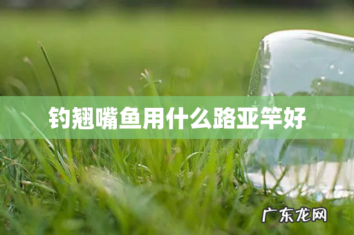 钓翘嘴鱼用什么路亚竿好