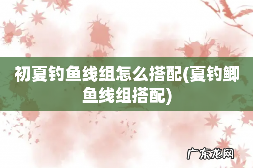 夏钓鲫鱼线组搭配 初夏钓鱼线组怎么搭配