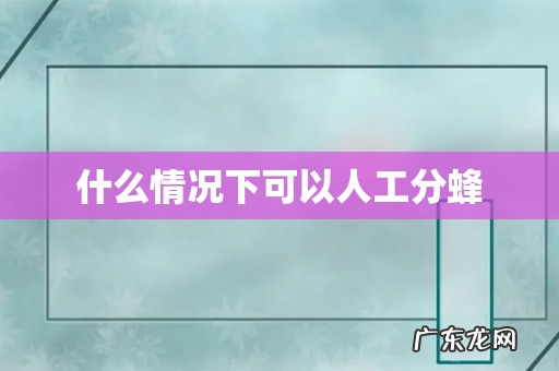 什么情况下可以人工分蜂