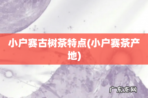 小户赛茶产地 小户赛古树茶特点