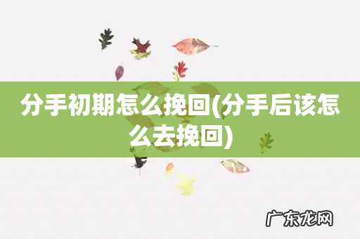 分手后该怎么去挽回 分手初期怎么挽回