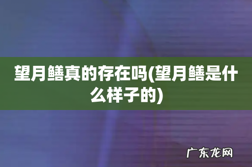 望月鳝是什么样子的 望月鳝真的存在吗