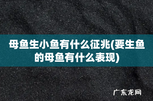 要生鱼的母鱼有什么表现 母鱼生小鱼有什么征兆