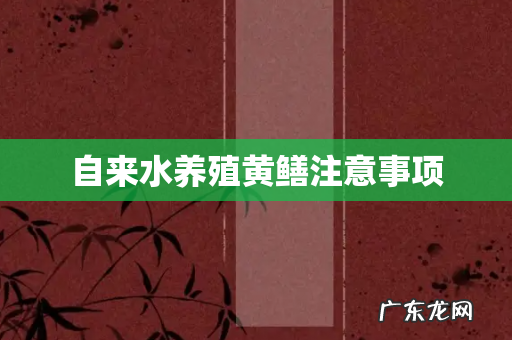 自来水养殖黄鳝注意事项