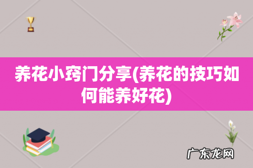 养花的技巧如何能养好花 养花小窍门分享
