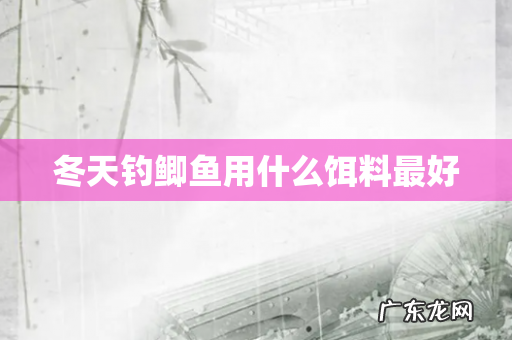 冬天钓鲫鱼用什么饵料最好