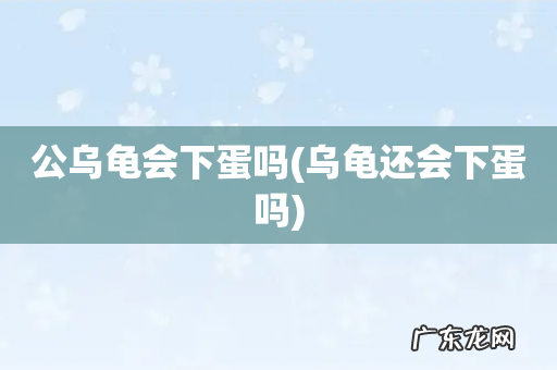 乌龟还会下蛋吗 公乌龟会下蛋吗