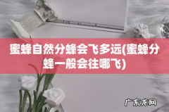 蜜蜂分蜂一般会往哪飞 蜜蜂自然分蜂会飞多远