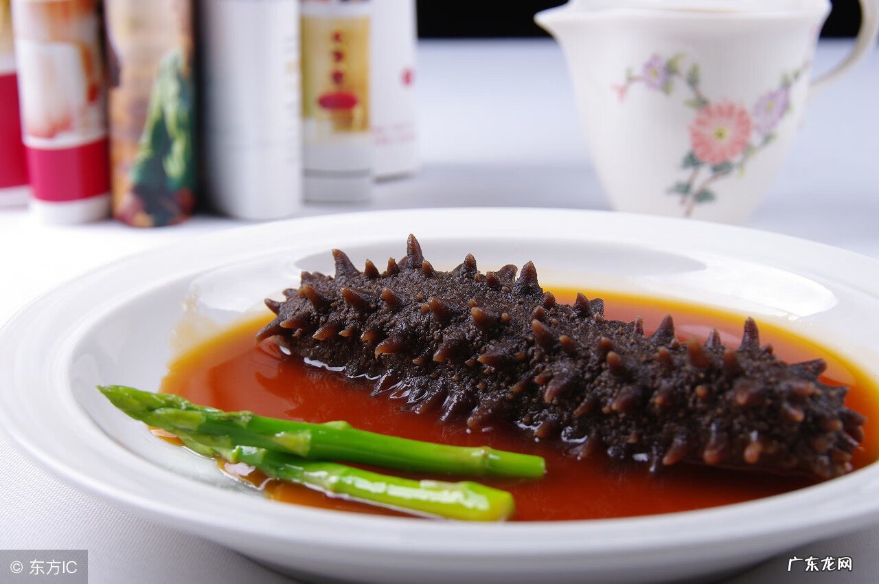 海参到底有没有营养价值 海参的营养价值