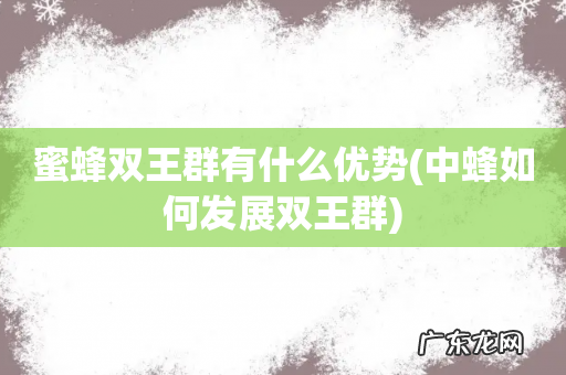 中蜂如何发展双王群 蜜蜂双王群有什么优势
