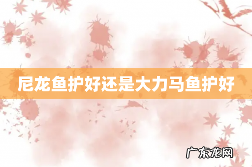 尼龙鱼护好还是大力马鱼护好