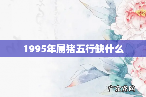 1995年属猪五行缺什么