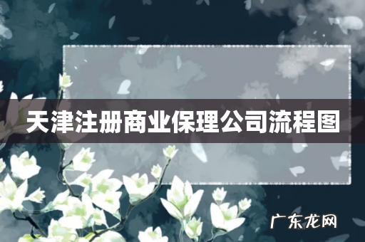 天津注册商业保理公司流程图