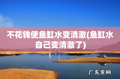 鱼缸水自己变清澈了 不花钱使鱼缸水变清澈