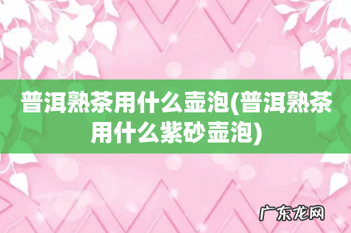 普洱熟茶用什么紫砂壶泡 普洱熟茶用什么壶泡
