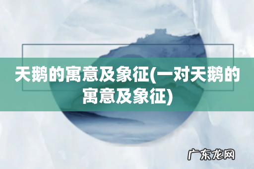 一对天鹅的寓意及象征 天鹅的寓意及象征