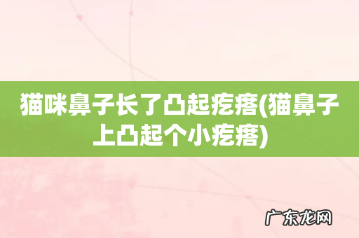 猫鼻子上凸起个小疙瘩 猫咪鼻子长了凸起疙瘩