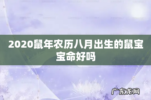 2020鼠年农历八月出生的鼠宝宝命好吗