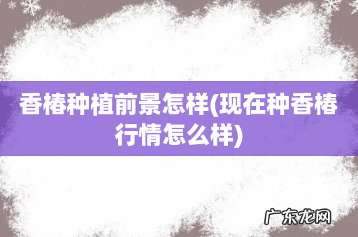 现在种香椿行情怎么样 香椿种植前景怎样