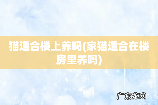 家猫适合在楼房里养吗 猫适合楼上养吗